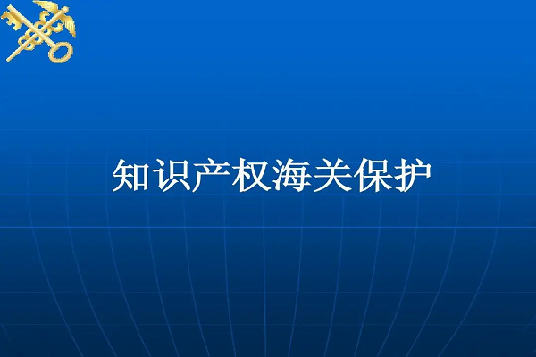 织牢国门知识产权保护网，海关助力全球好物健康“成长”