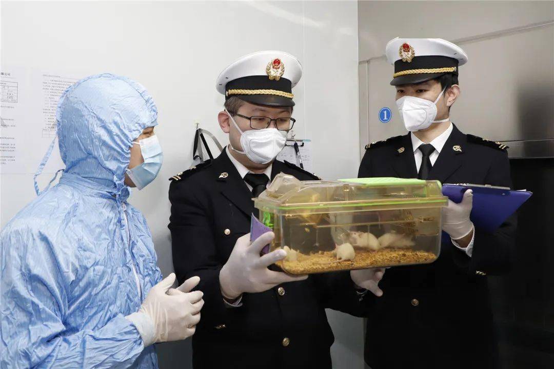 六部门发布《口岸重点管控外来物种名录》——我国进一步筑牢国门生物安全屏障