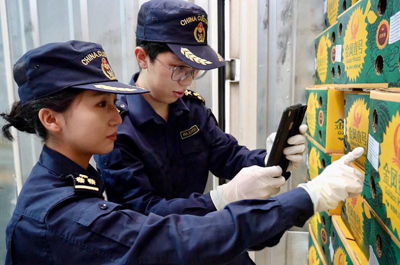 上半年云南口岸鲜榴莲进口量居全国首位