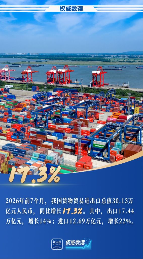 前7个月我国货物贸易进出口增长17.3%